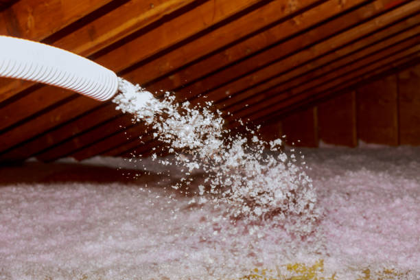 Best Insulation Repair Services  in Oakville, MO