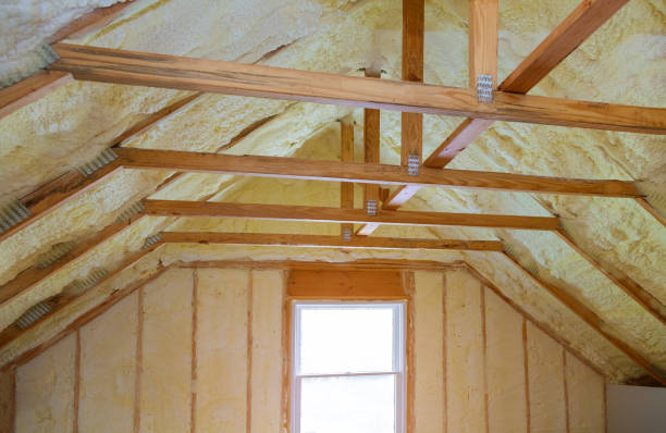 Best Local Insulation Services  in Oakville, MO