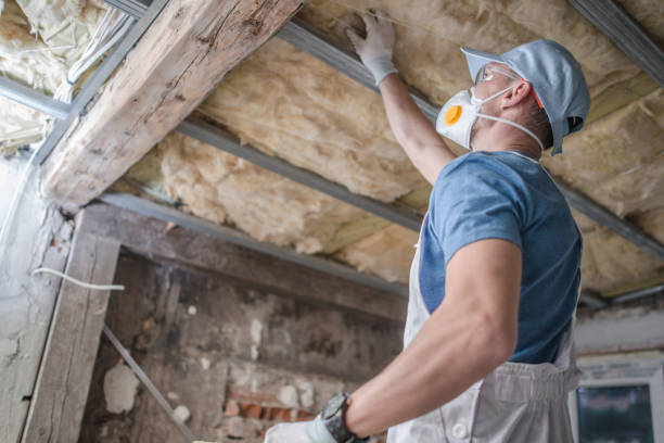 Best Insulation Inspection Services  in Oakville, MO