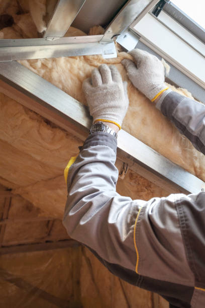 Best Attic Insulation Installation  in Oakville, MO