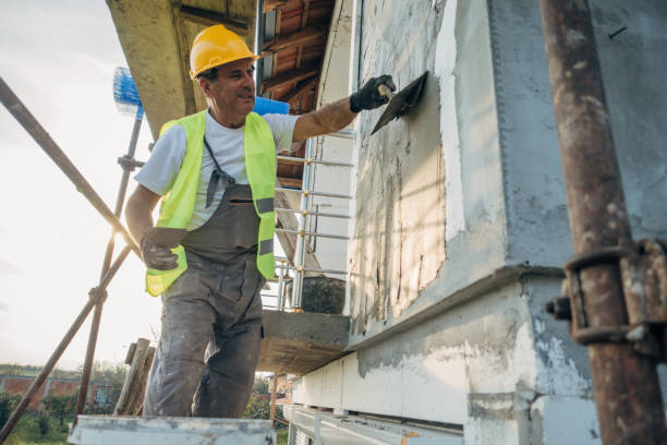 Best Insulation for New Construction  in Oakville, MO