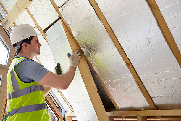 Best Wall Insulation Contractor  in Oakville, MO